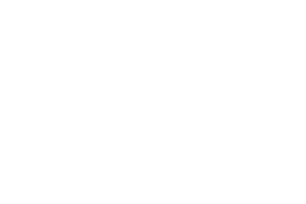 Chainwaiter Logo